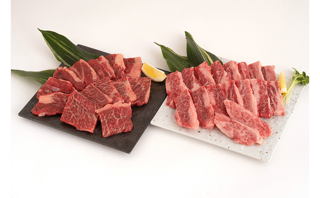 くまもとあか牛 カルビ 300g 肩ロース 300g 合計600g 熊本県産 牛肉 焼肉 BBQ