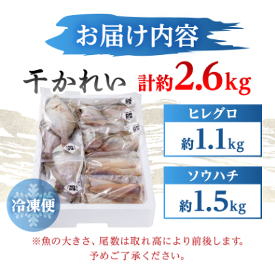 【かれい専門店】こだわりの干かれい充実セット【配送不可地域：離島】