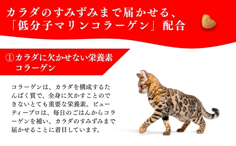 日本ペットフード ビューティープロ キャット 避妊・去勢後用 1.4kg（280g×5袋入）×8袋（ケース） キャットフード