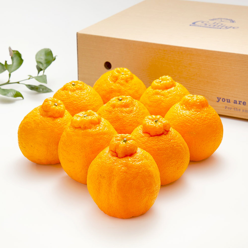 【ふるさと納税】環境マイスターの不知火 良品 2.5kg 8玉前後 栽培期間中 無肥料・低農薬 不知火 ミカン 蜜柑 みかん 果物 国産 九州産 熊本県産 冷蔵 送料無料【2026年1月上旬-4月下旬迄順次発送予定】