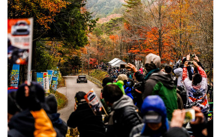 ラリージャパン【稲武設楽SS（稲武観戦エリア）観戦券／大人３名（夏焼グラウンドP&R）】5月29日（金）