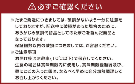 康卵の里「放し飼い卵」 卵60個 宮崎県えびの市産 九州産 国産 玉子 生卵 鶏卵 たまご 破損保証5個含む 送料無料