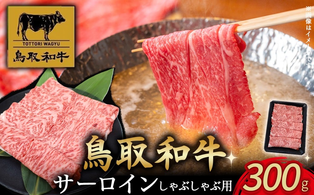 
                  鳥取和牛サーロインしゃぶしゃぶ用 300g サーロイン しゃぶしゃぶ 国産 牛肉 ブランド牛 和牛 黒毛和牛 肉 鳥取県 倉吉市
                