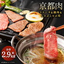 【ふるさと納税】牛肉 詰め合わせ 2.9kg ステーキ 焼肉 しゃぶしゃぶ用 | 和牛 肉 国産肉 京都肉 逸品 お取り寄せ グルメ ご当地 ギフト お祝い 内祝い 銀閣寺大西 京都府 京都市