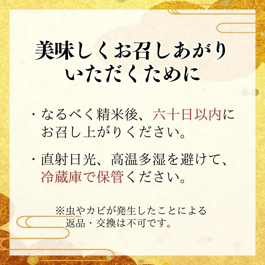 《 3ヶ月 定期便 》【生産者支援】《令和7年産》茨城県桜川市産 こしひかり 10kg ( 5kg × 2袋 ) × 3回 茨城県産 桜川 米 お米 白米 コメ ごはん 精米 コシヒカリ 国産 限定 