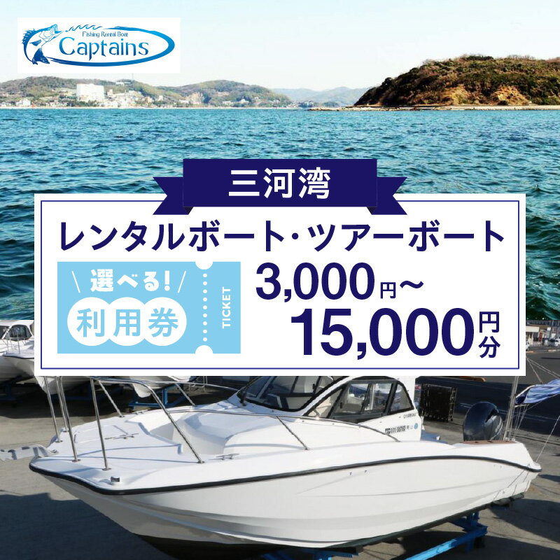 【ふるさと納税】《金額が選べる》レンタルボート・ツアーボート利用券 3,000円分～15,000円分・K296-SKU ボート レンタルボート ツアー ツアーボート 観光 旅行 観光旅行 新婚旅行 一人旅 利用券 チケット 施設利用券 三河湾 観光地 ご当地返礼品 愛知県 西尾市 送料無料
