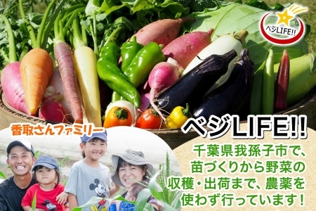旬の野菜セットLサイズ(約10~11品)