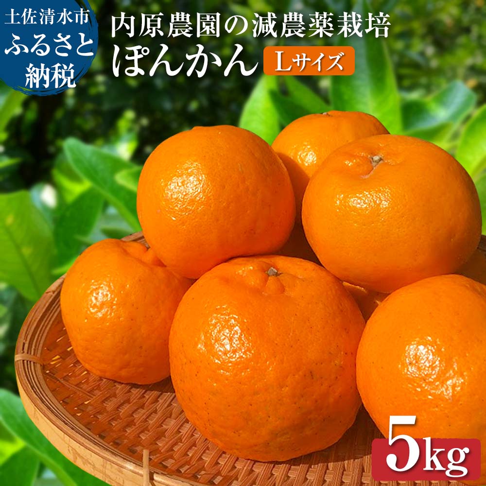 【ふるさと納税】令和8年発送 内原農園の減農薬栽培 ぽんかん（Lサイズ）5キロ 贈答用 みかん 蜜柑 ミカン 柑橘 かんきつ ポンカン フルーツ オレンジ 果物 くだもの 果汁 甘い ジューシー 故郷納税 高知県 土佐清水市 送料無料 高知【R01097】