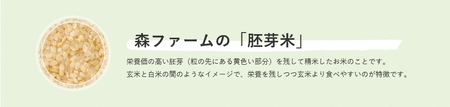 スプリングライス こしひかり (胚芽米)5kg_BI49 ※着日指定不可