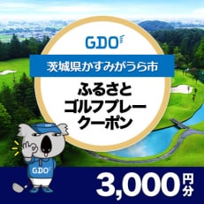 【茨城県かすみがうら市】GDOふるさとゴルフプレークーポン(3,000円分)