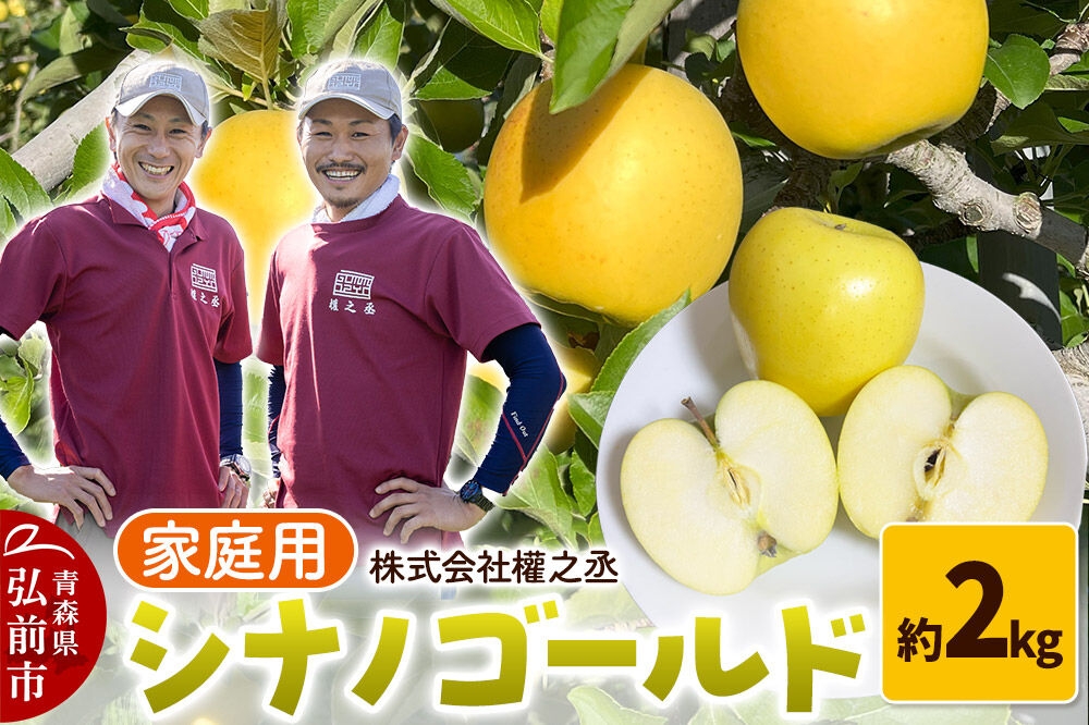 
                  【26年10月下旬～発送】りんご シナノゴールド【家庭用】約2kg 權之丞 青森りんご 青森県 弘前市 果物 フルーツ 林檎 リンゴ くだもの 不揃い 規格外 [産地直送 弘前市産 アップル おいしい 果実 美味 甘い 黄色]
                