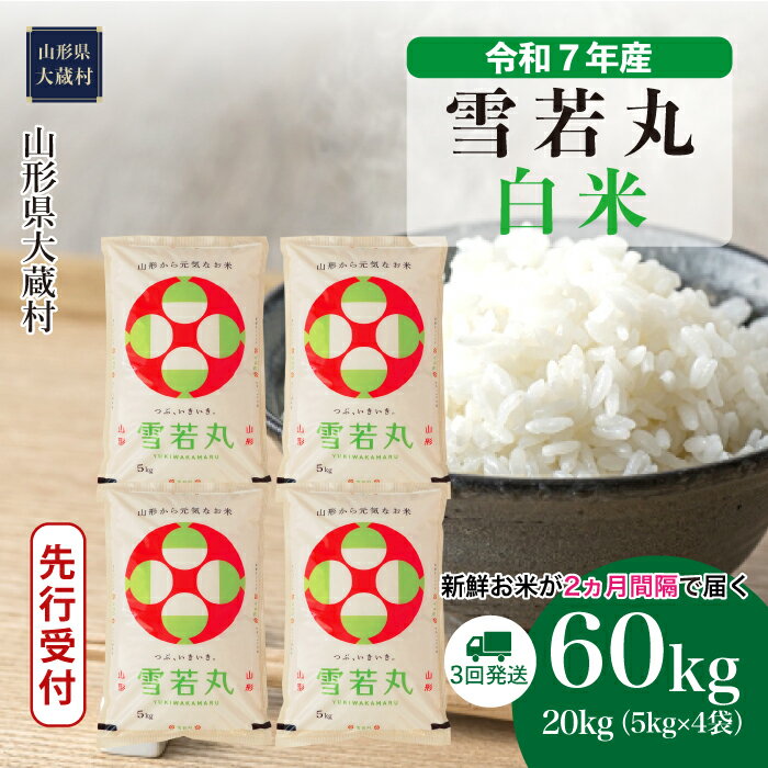 【ふるさと納税】＜令和7年産米先行受付＞ 大蔵村 雪若丸 ＜白米＞ 60kg定期便（20kg×3回お届け）