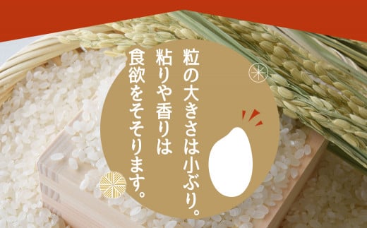 みやこんじょ育ち都城産ひのひかり10kg≪みやこんじょ特急便≫_31-K701-Q