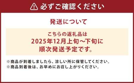 二戸産  カシオペア プレミアム冬恋はるか 約2.5kg 【2025年12月上旬-下旬発送予定】 ／りんご リンゴ 林檎 フルーツ 果物 旬 お取り寄せ 冬恋ブランド 蜜入り