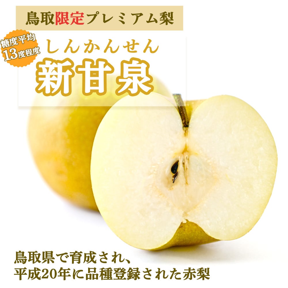 箱詰めイメージ