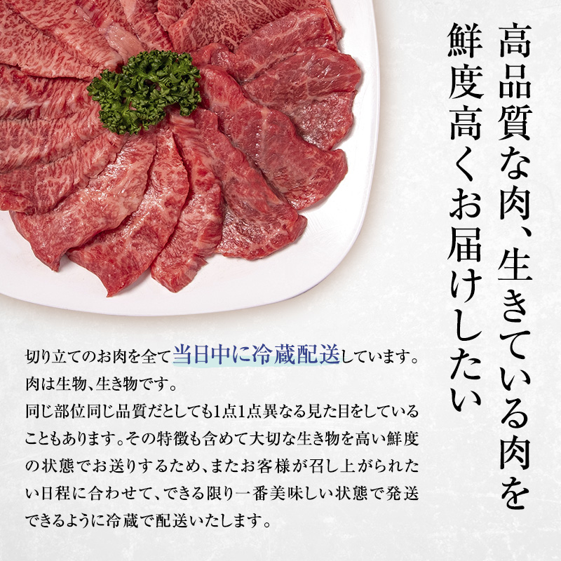 【近江牛　西川畜産】【3か月定期便】近江牛A5ランク雌牛　毎月違う肉が届く!近江牛味わいセット