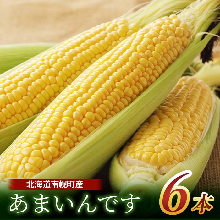 【ふるさと納税】令和8年発送 北海道産 とうもろこし あまいんです6本 朝採れ 一番果 産地直送 NP1-179