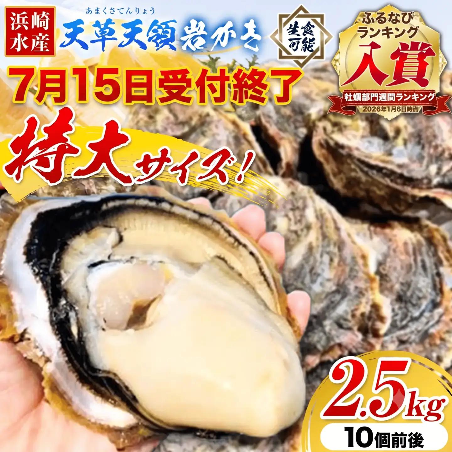 岩牡蠣 2.5kg かき 浜崎水産 牡蠣 生食
