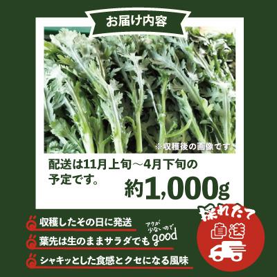 ふるさと納税 大館市 春菊 新鮮で風味豊か! 約1,000g |  | 03