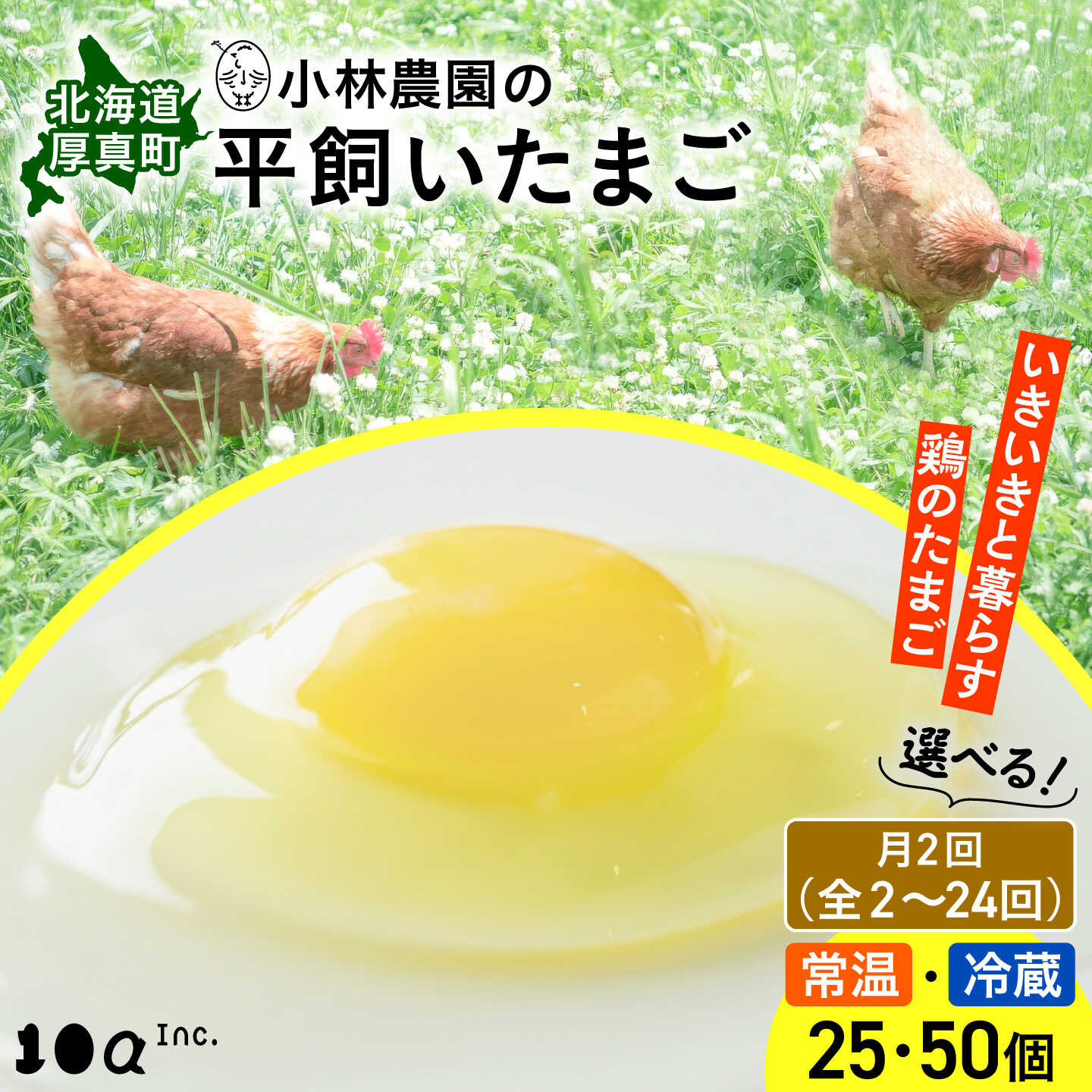 【ふるさと納税】【月2回定期便・選べる】小林農園の平飼いたまご・無投薬 全2回〜全24回／25個・50個から選べる 《厚真町》【テンアール株式会社】 たまご 卵 鶏卵 玉子 生卵 北海道 定期便[AXAN027]
