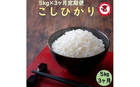 3カ月定期便 千葉県産コシヒカリ5kg 定期便 五つ星 お米マイスター おすすめ つやつや 美味しい 厳選 白米 おにぎり 飯 精米 国産 千葉県 銚子市 