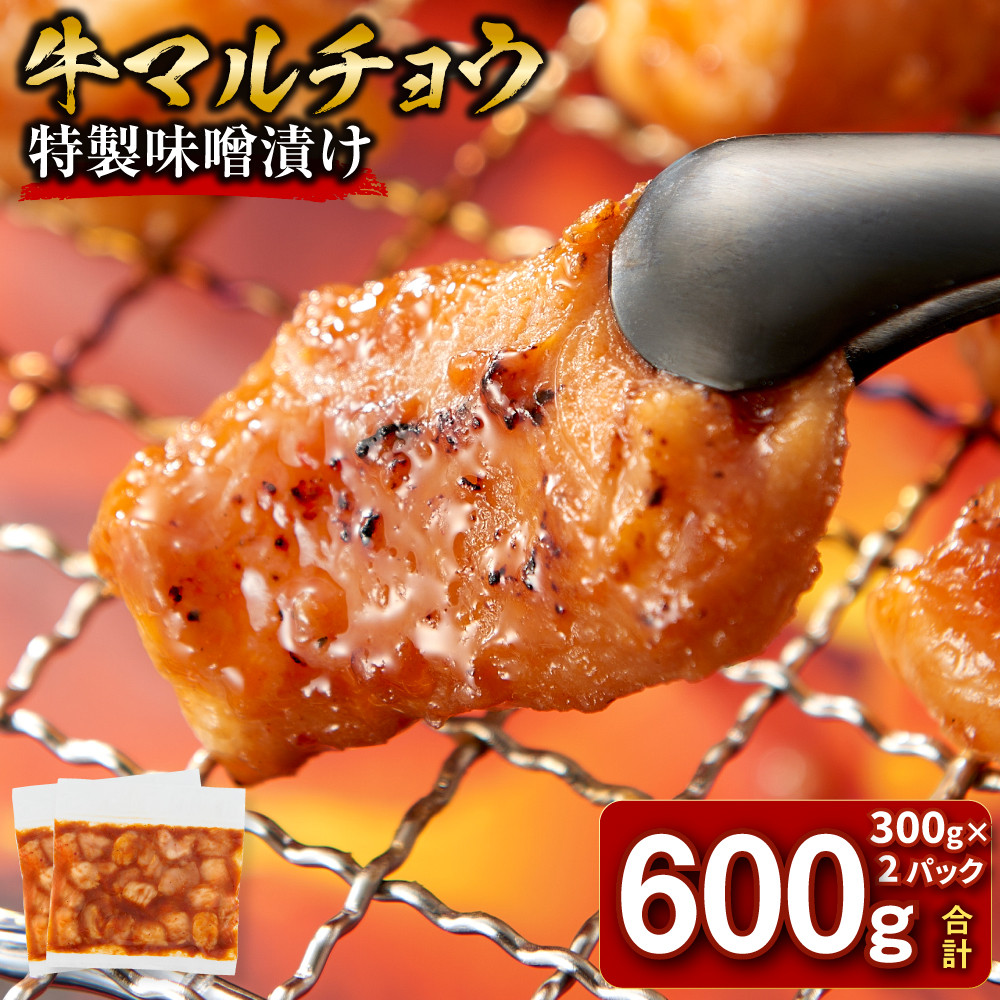 ＜訳アリ＞牛マルチョウ　特製味噌漬け　0.6kg(300g×2）【kw0096-0940】