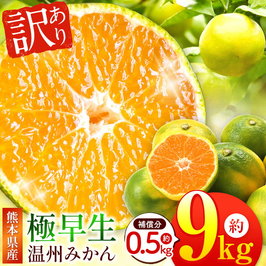 【ふるさと納税】 訳あり 熊本県産 温州みかん 極早生 約 9kg +約 0.5kg (補償分）| フルーツ 果物 くだもの 柑橘 柑橘類 みかん ミカン 蜜柑 ご家庭用 送料無料 熊本県 玉名市