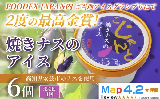 焼きナスのアイス 18個 100ml×6個×3回定期便 アイスクリーム 人気 ご当地アイス 高知県 ナス スイーツ デザート ヘルシー 手作り 炭火焼き 最高金賞 話題 ユニーク 変わり種 ホームパーティー おもてなし 詰め合わせ 贈り物 贈答 ギフト プレゼント 1995年 ロングセラー 日本一 FOODEX JAPAN グランプリ 受賞 リピート 安芸市 高知県