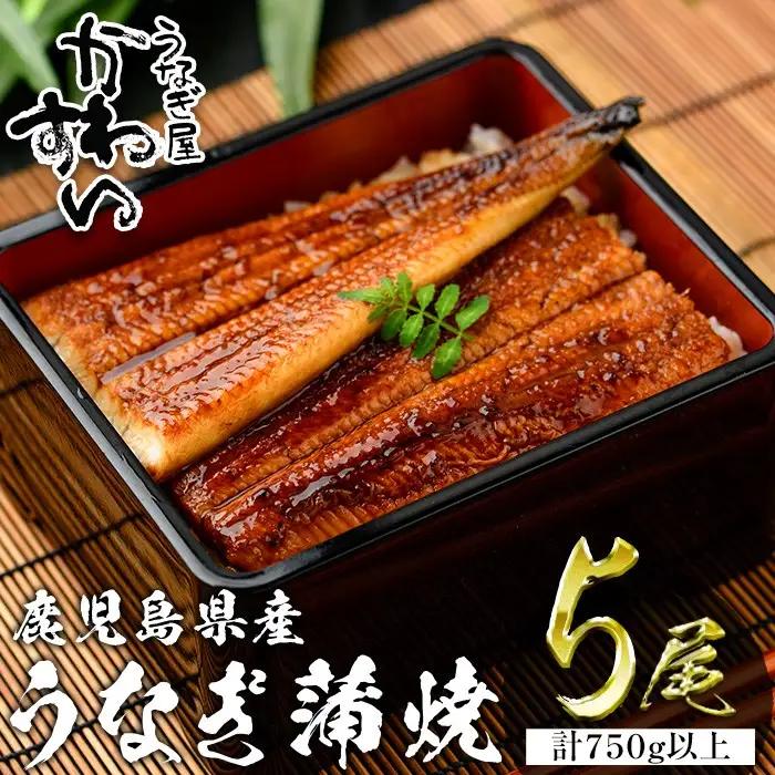 ＜うなぎ屋かわすい＞鹿児島県産 国産 うなぎ 蒲焼 タレ 鰻 うな重 かばやき 計750g 以上 150～169g×5本【川口水産】A857