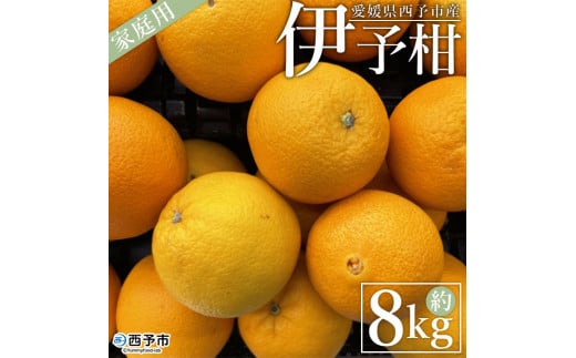 ＜愛媛県西予市産 伊予柑 家庭用 約8kg＞ 訳あり ワケアリ 自宅用 果物 くだもの ミカン 柑橘 フルーツ いよかん イヨカン 特産品 産地直送 段畑みかん 愛媛県 西予市【常温】『2026年1月上旬～1月末迄に順次出荷予定』