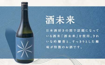 【南部美人】純米大吟醸（ビューティーシリーズ）飲み比べ セット