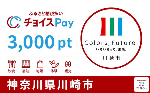 
                  川崎市チョイスPay 3,000pt【会員限定のお礼の品】
                