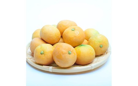 家庭用 ハウスみかん2.5kg+250g（傷み補償分）