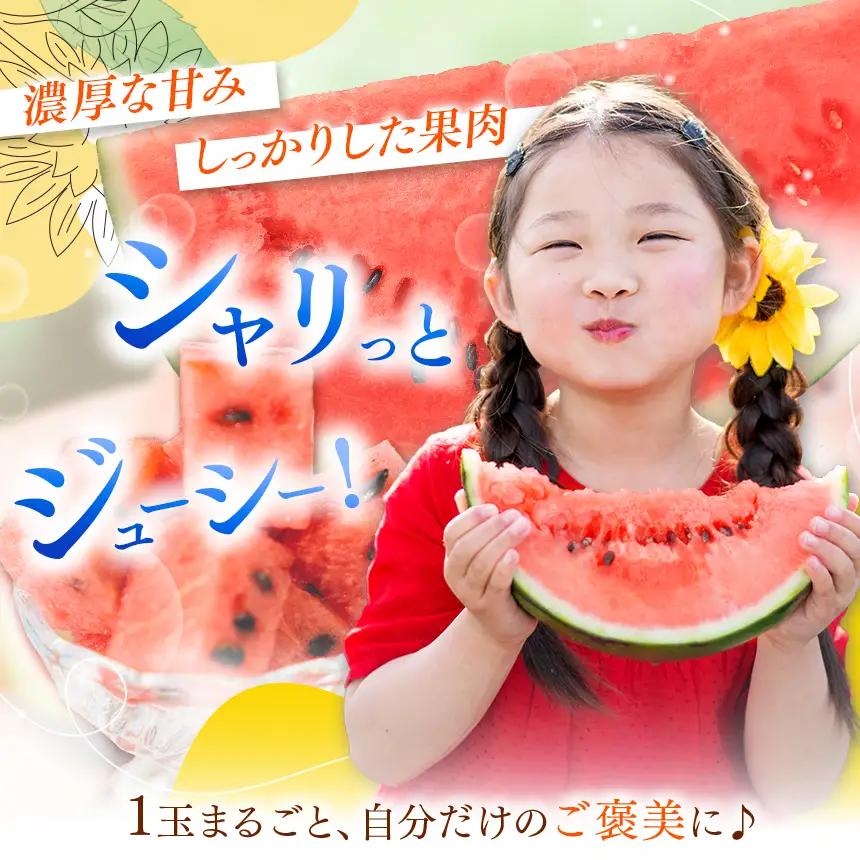 【先行受付】松本市 波田産 小玉すいか ひとりじめBonBonリッチ 3L(2㎏～2.5㎏)１玉