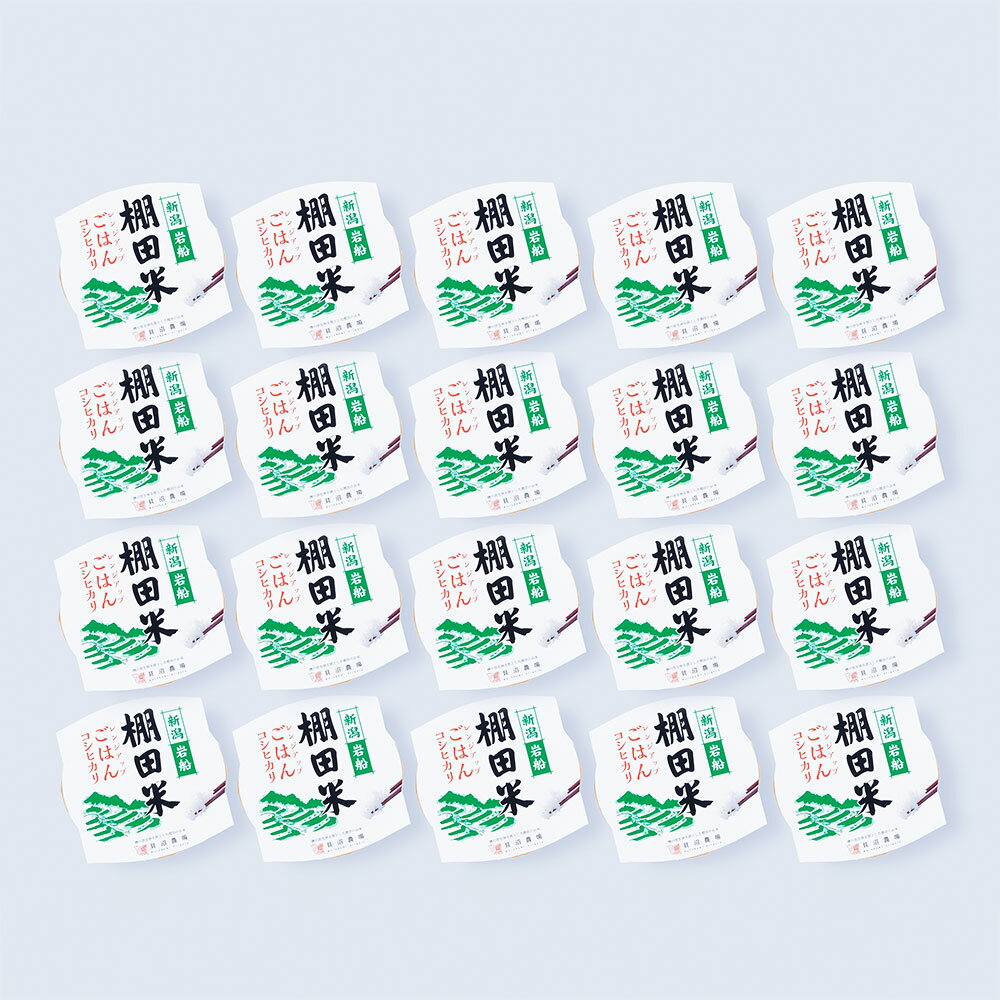 【ふるさと納税】【令和7年産米】棚田米コシヒカリのパックごはん(150g×20個) AB4039