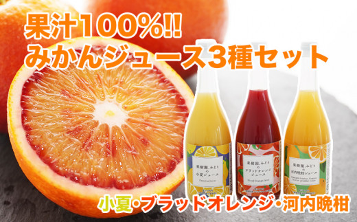 
【 先行予約 】 果汁 100% みかん ストレート ジュース 720ml 3種 セット 小夏 ブラッドオレンジ 河内晩柑 期間限定 数量限定 高級 贈答 ギフト プレゼント 先行 事前 予約 17000円 母の日 愛南 愛媛 国産 フルーツ 果物 柑橘 産地直送 農家直送 特産品 完熟 濃厚 人気 限定 甘い ジューシー 新鮮 果実 さわやか 果樹園みどり
