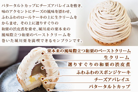 城川オリジナルモンブラン (２個入り×２セット）
