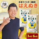 【ふるさと納税】【令和6年産 新米】はえぬき 選べる定期便 (1回10kg 5kg×2袋) (3ヶ月 計30kg 6ヶ月 計60kg) 2024年産 精米 米 白米 お米 ブランド米 お米マイスター 厳選米 山形県 米沢市 送料無料