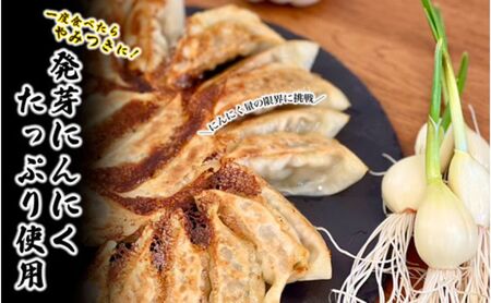 【6か月 定期便 】発芽にんにく餃子30個入り2パック　餃子 にんにく にんにくたっぷり 国産にんにく 発芽にんにく 冷凍 臭わない 栄養価抜群 スタミナ 免疫アップ おつまみ おかず 総菜 餃子専門