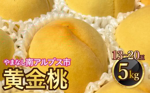 ＜2025年発送分先行予約＞山梨県南アルプス市産　高糖度　黄金桃　【約5ｋｇ　13～20玉】 ALPAH046