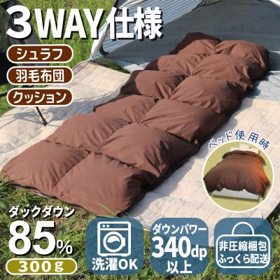 ふるさと納税 広川町 羽毛シュラフ×ダウンケット×ボルスタークッション3WAY寝袋 ダウン85% 軽量タイプ0.3kg