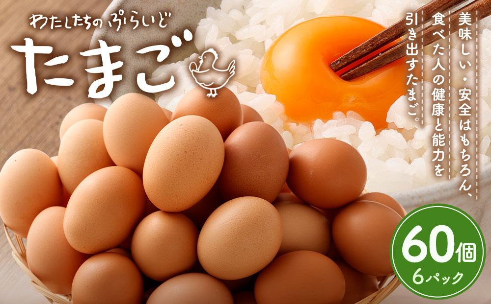 単なる平飼いではない究極の卵『わたしたちのぷらいどたまご』6パック（60個）セット