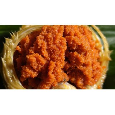 ふるさと納税 美浜町 ＜冷蔵でお届け＞食べ切数量!全て地物!冬の味覚　旬のセイコガニ(3匹計550g)食べ方カラー説明書付 |  | 01