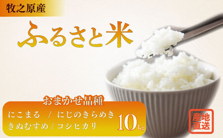 【R７新米】お米 10kg 品種 おまかせ 【 にこまる にじのきらめき きぬむすめ コシヒカリ 】牧之原市