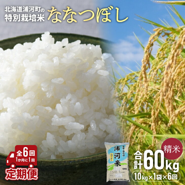 【ふるさと納税】【先行受付開始！】浦河の特別栽培米「ななつぼし」精米(10kg×1袋)定期便(全6回)[37-1172]