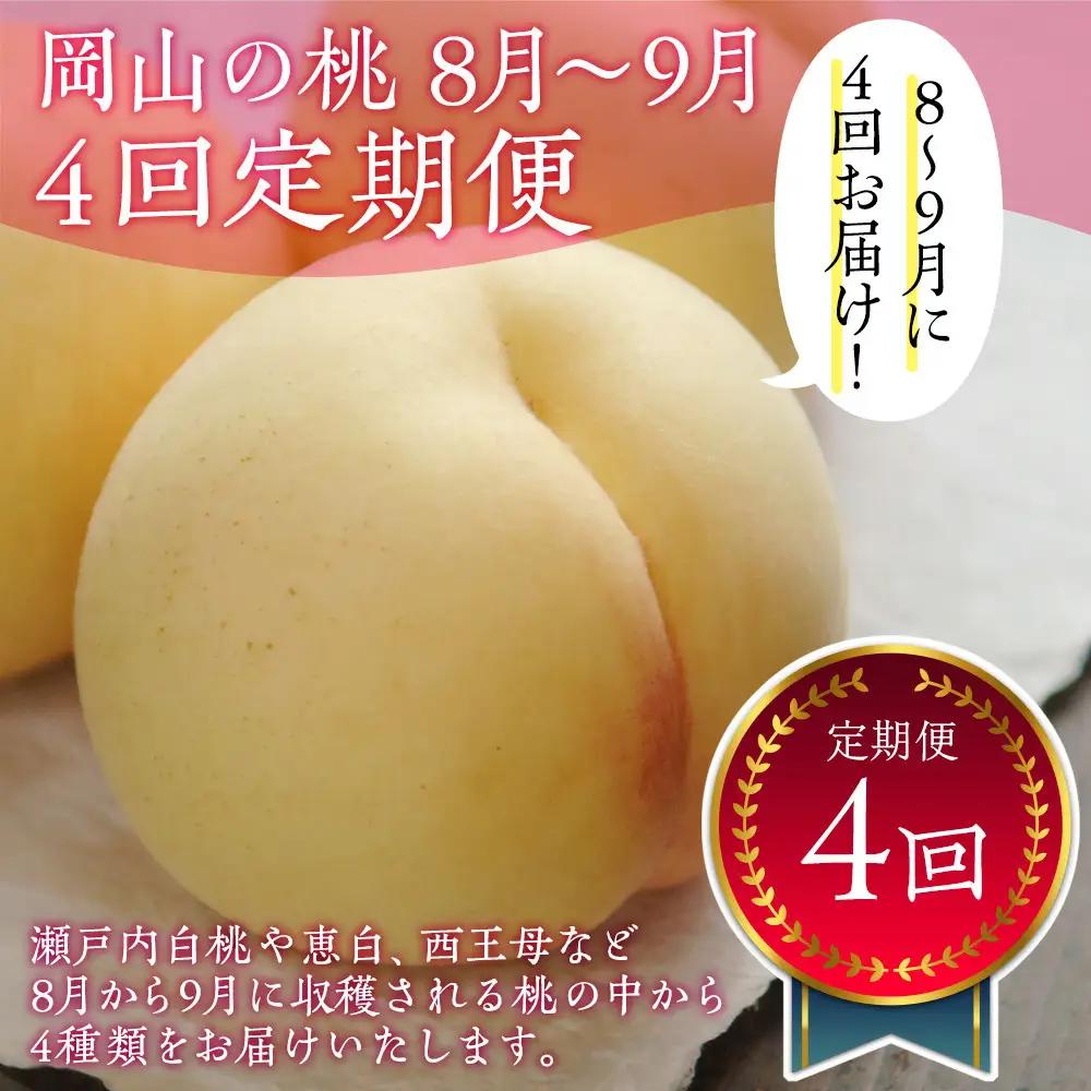 【全4回お届け】岡山の桃　8月-9月  【8月以降発送】