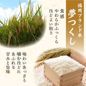 米 令和7年産 夢つくし 白米 5kg ｜米米米米米 福岡 川崎町 KMF001_09