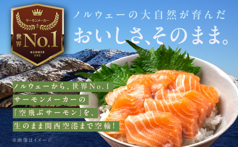 アトランティック サーモン 600g【小分け 200g×3P 刺身 海鮮 カルパッチョ ムニエル 北国からの贈り物】 015B401