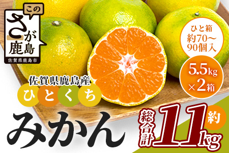 B-632 毎年大人気！【先行予約】平倉果樹園のひとくちみかん 約5.5kg×2箱（合計約11kg）｜鹿島産 小玉みかん（5cm前後）｜贈答用・お取り寄せ ギフト｜温州みかん「ゆら」｜九州 佐賀県 鹿島市産 送料無料