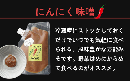 国産 唐辛子 4種セットB（ 赤柚子胡椒 / 一味(鷹の爪) / 青唐辛子味噌 / にんにく味噌 ） 